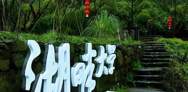 55歲中國芯片首富，豪捐200億：在老家建一所理工大學
