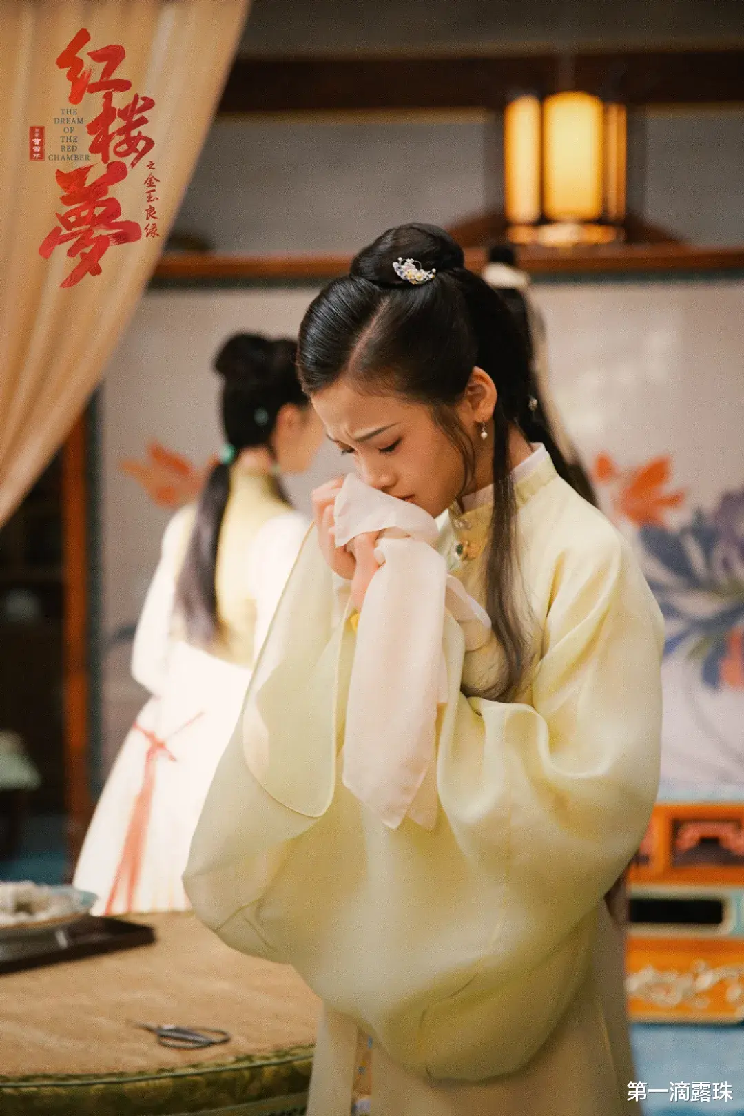 郑晓龙要拍剧版红楼梦!《甄嬛传》后二搭流潋紫,网友呼吁换编剧