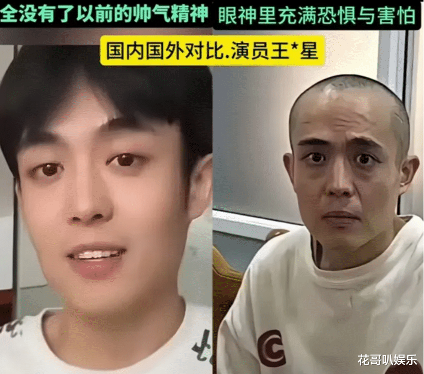 吴佩慈躺平的贵妇神坛，沾满其他人的鲜血？