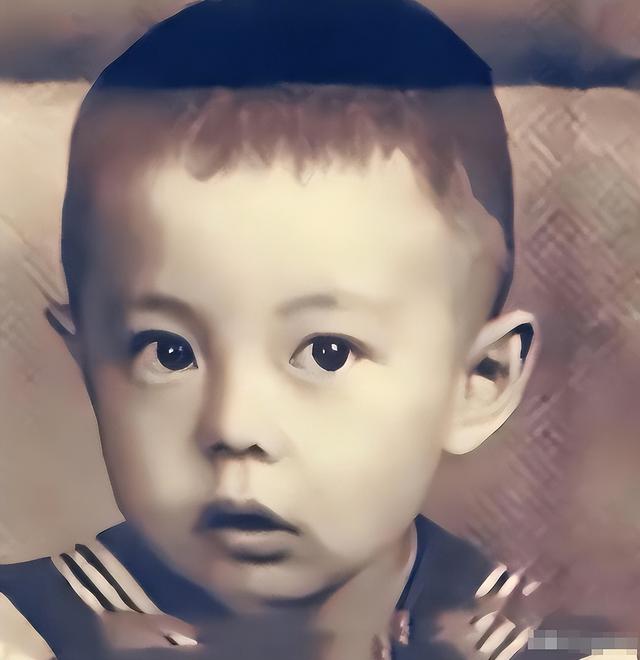 这一次,66岁双腿包扎瘫在轮椅的张铁林,早已沦为了娱乐圈的笑话