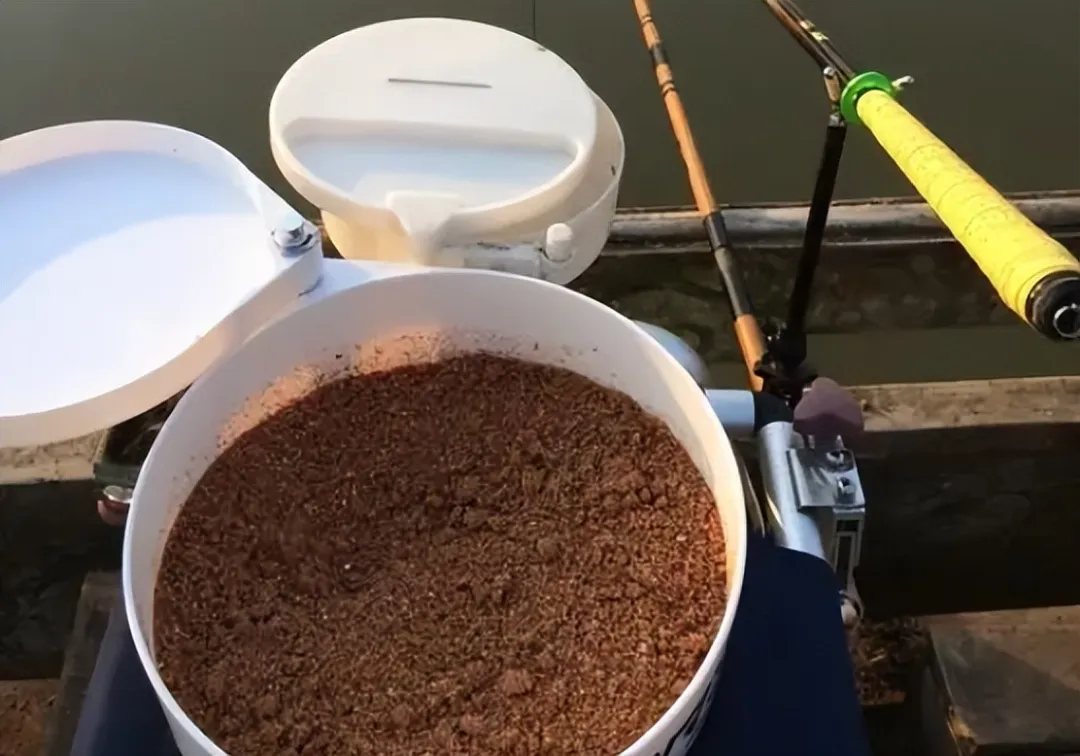 夏季钓黑坑的饵料调整与钓法运用，教你怎么玩转黑坑！