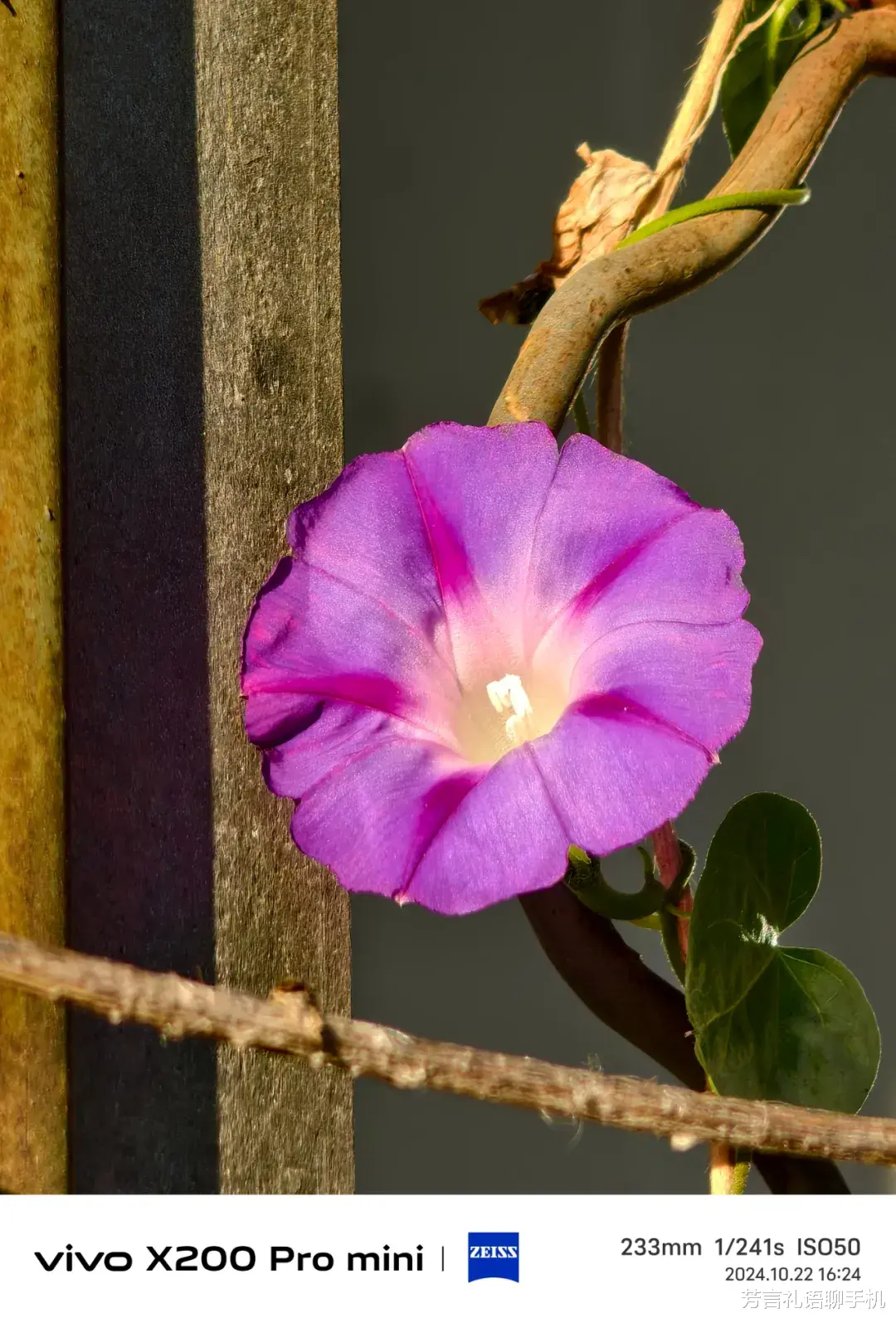 喜欢小屏手机的,这台安卓“扛把子”必看