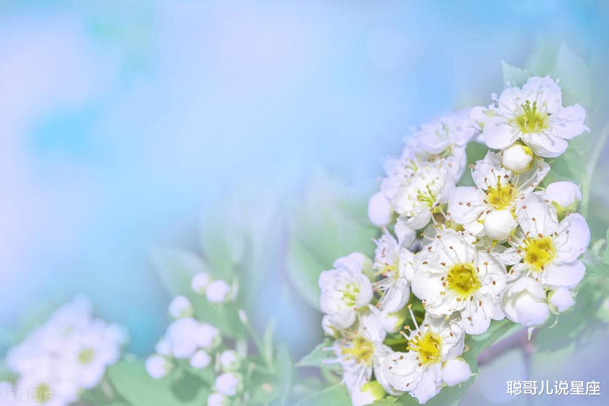 性格沉稳，职场顺风顺水的三大星座