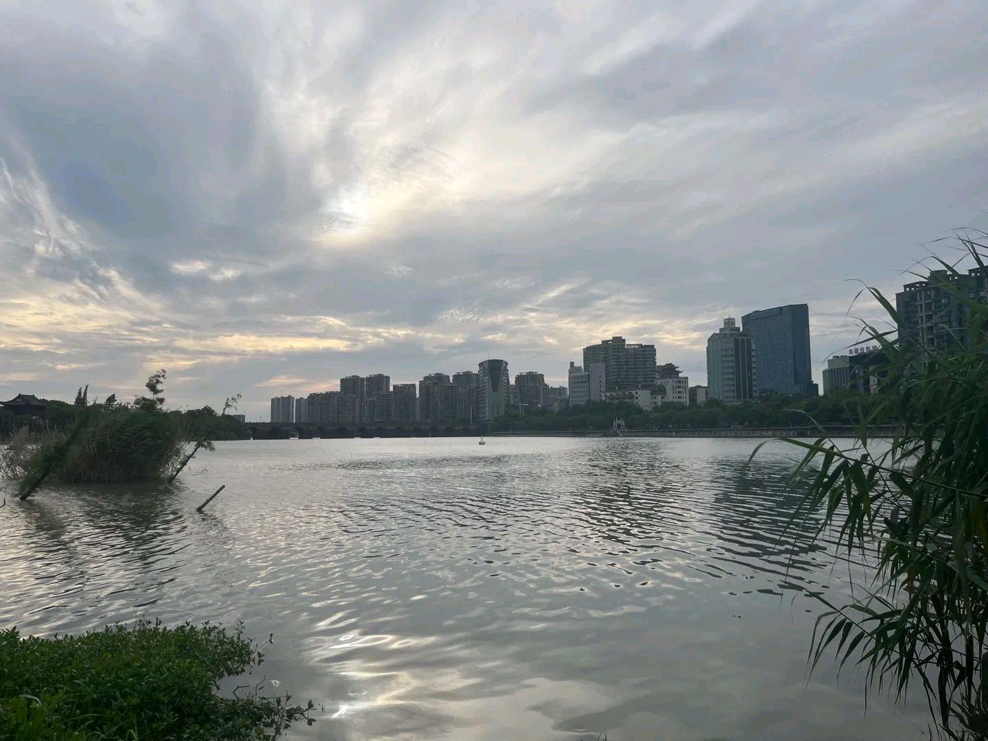 比断月供更加可怕的是,法拍房没有人接盘,银行打6折都没有人要