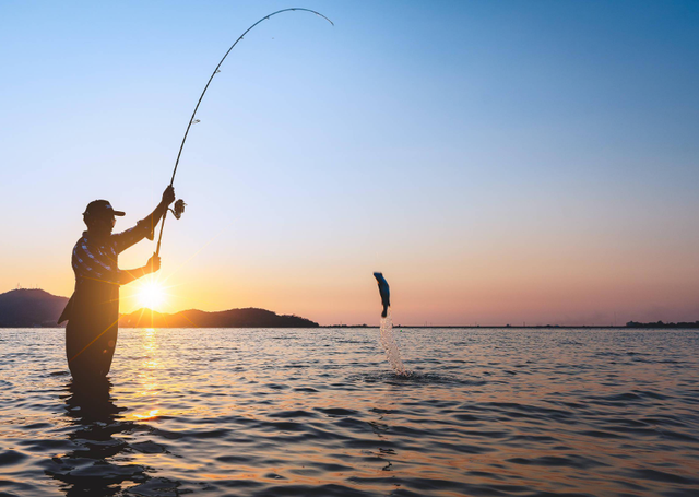 居然比鲤鱼还要难吃?钓鱼佬眼中最难吃的5种鱼,白给都不想要?