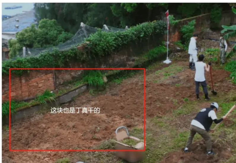 23岁丁真上综艺遭压榨!火不起来的节目,慢慢失去了最基本的节操