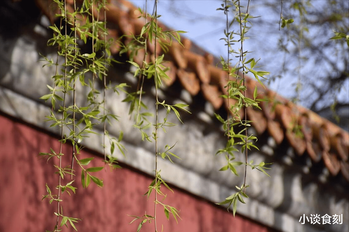 “坟上放3物,祖先佑子孙”,是哪3物?放了真的有用吗?建议了解