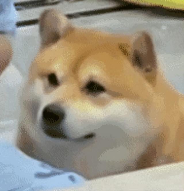 年纪轻轻,怎么就馒化了?