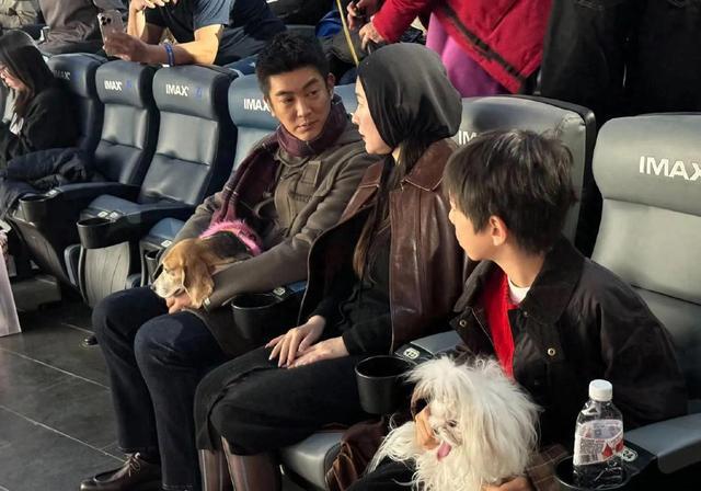 有一种“反噬”叫杜江霍思燕,结婚11年,善恶报应全部应验