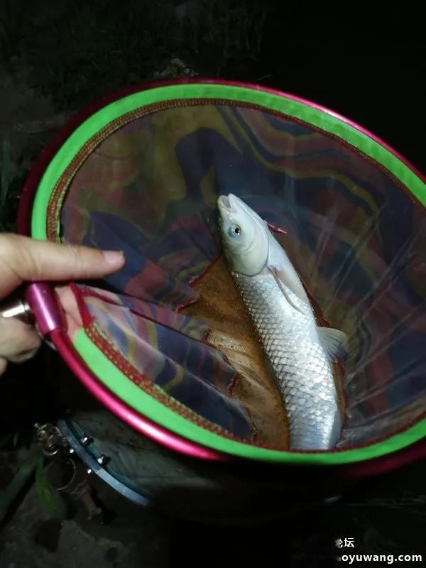 池战泡泡球，黑坑好伴侣