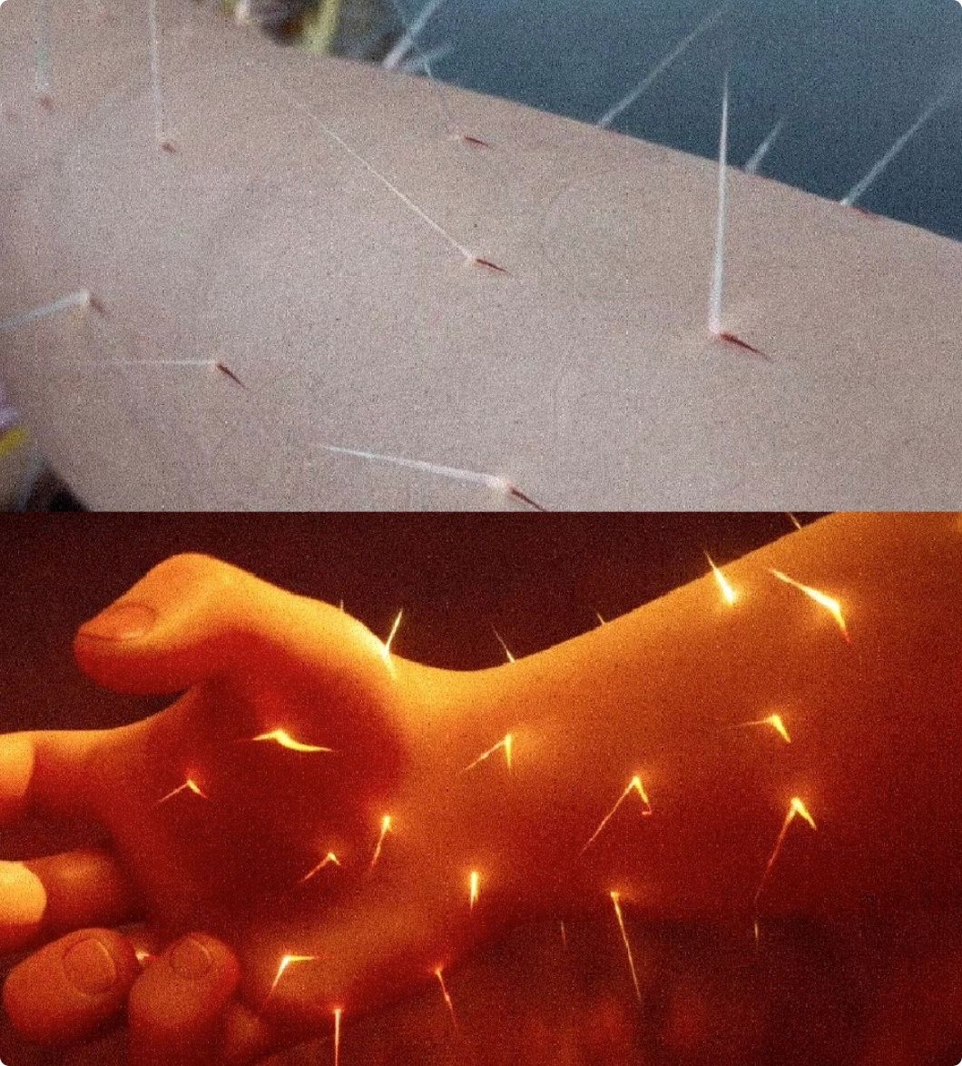 人民日报点评《哪吒2》，言辞犀利，句句都说到了观众心坎里