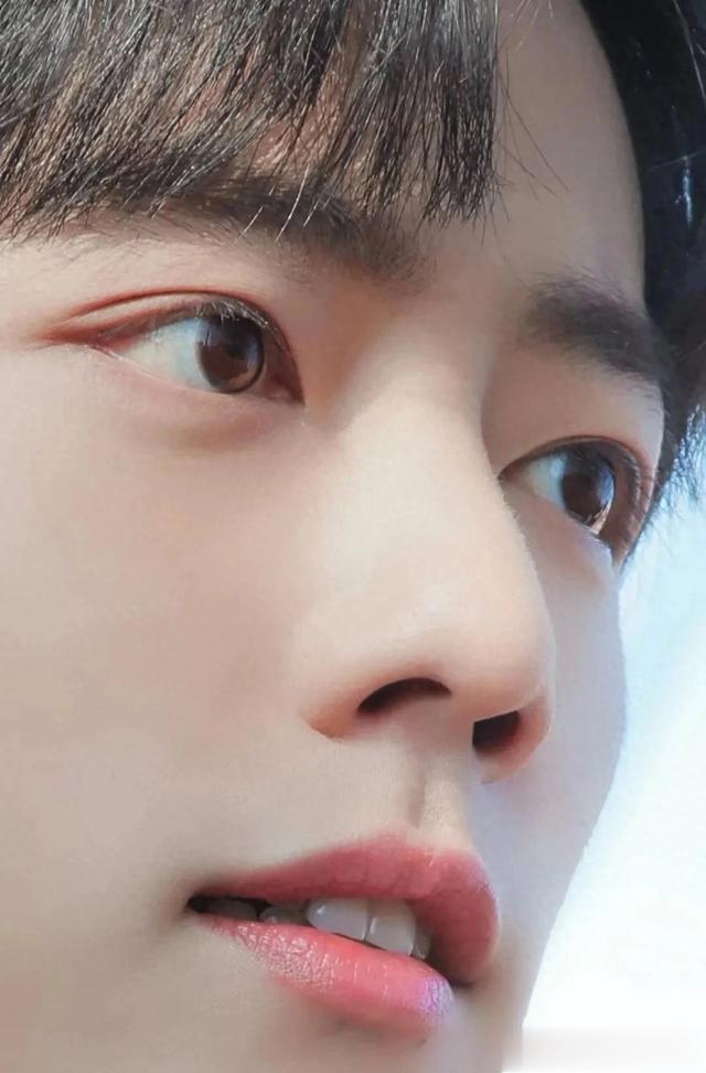 《藏海传》将播毫无水花:肖战先后错失白玉兰奖金鹰奖说明一切!