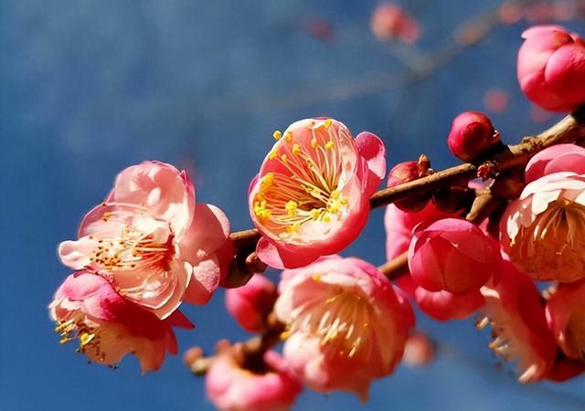 眼光长远，且能力出众的星座，适合当领导，容易做出成绩来