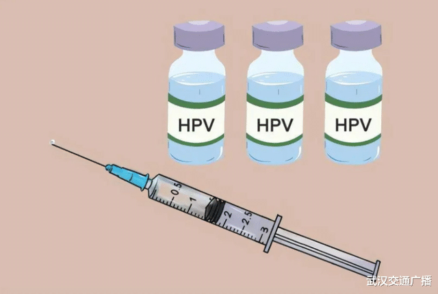 我市14岁女生将免费自愿接种2剂次2价HPV疫苗