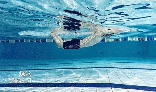 健身不必单练腹肌，更多动作让你的腹部更结实