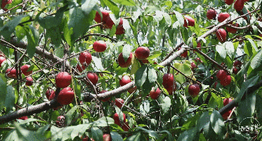 车程只要半个小时,就能美食相伴、策马奔腾潇潇洒洒?