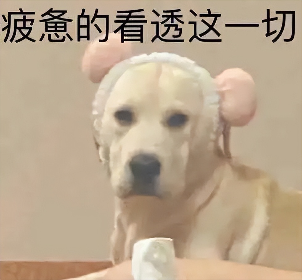 比赛输了就该吃避孕药?凭什么要对郑钦文这么大恶意