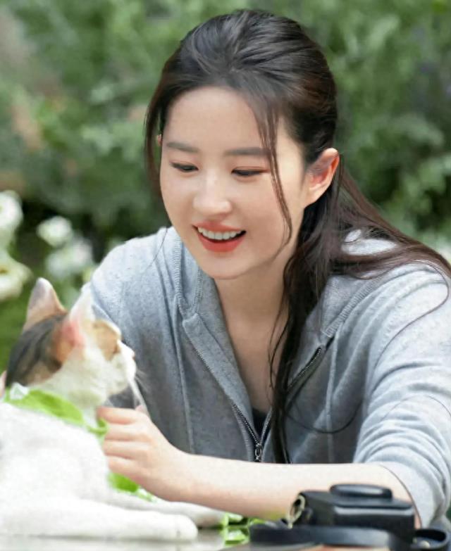 同样是被大佬陈金飞力捧,杨采钰与刘亦菲的境遇为何大不相同