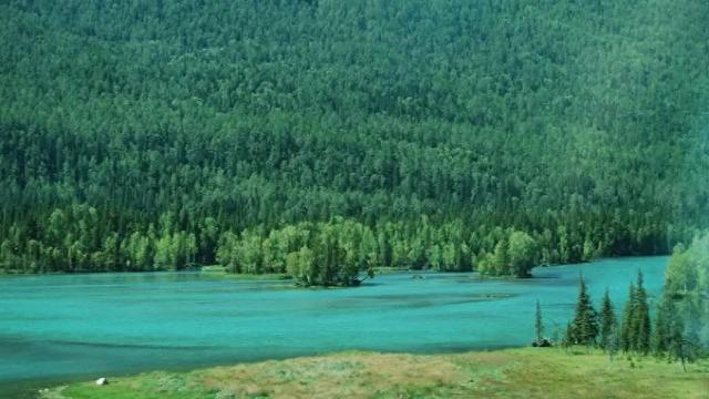 小姨子深夜扑入我怀中,媳妇不仅没阻止,还叫我抱紧一点