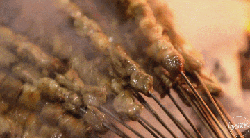 一路从路边摊追着吃到店里，老板说，啥稀奇就烤啥