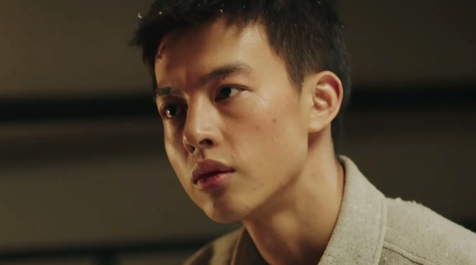 赵丽颖领衔!又一部都市剧来袭,看完阵容,我想说:可别再翻车了