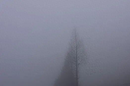 前老板醉酒开播！揭露沫沫流产细节，牵扯卓仕琳，疑二二截图曝光