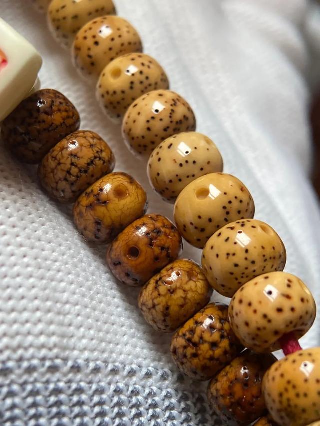 星月菩提盘玩的两大派系,“文盘”还是“武盘”,你倾向哪一种?