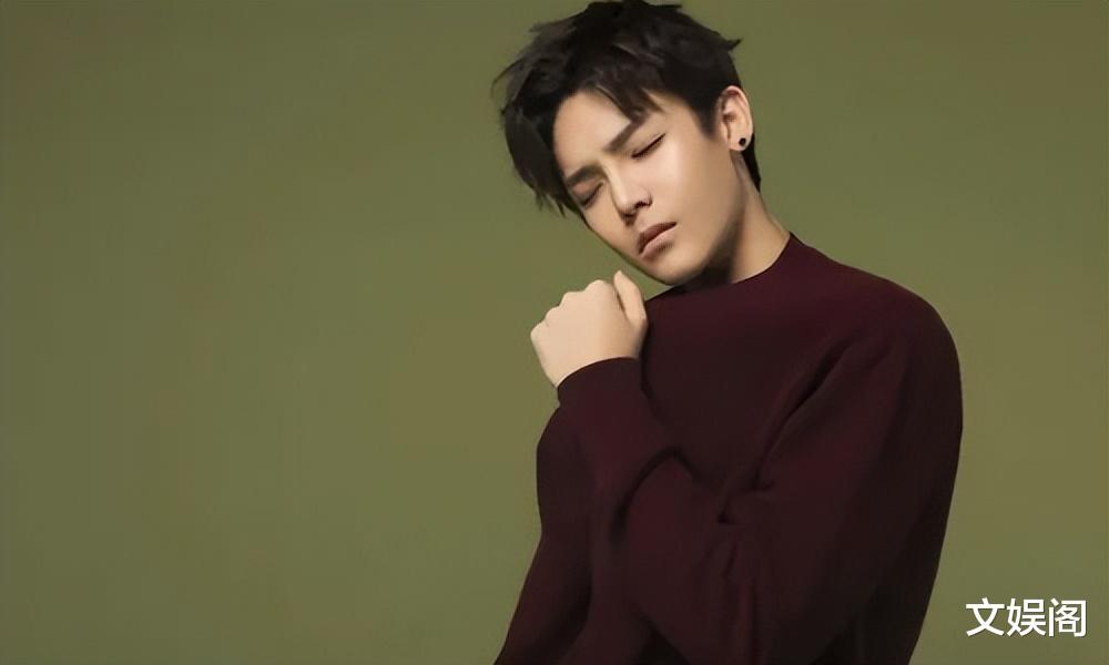 家境很好，长着一张雌雄莫辩的脸，但同时缺点也很明显