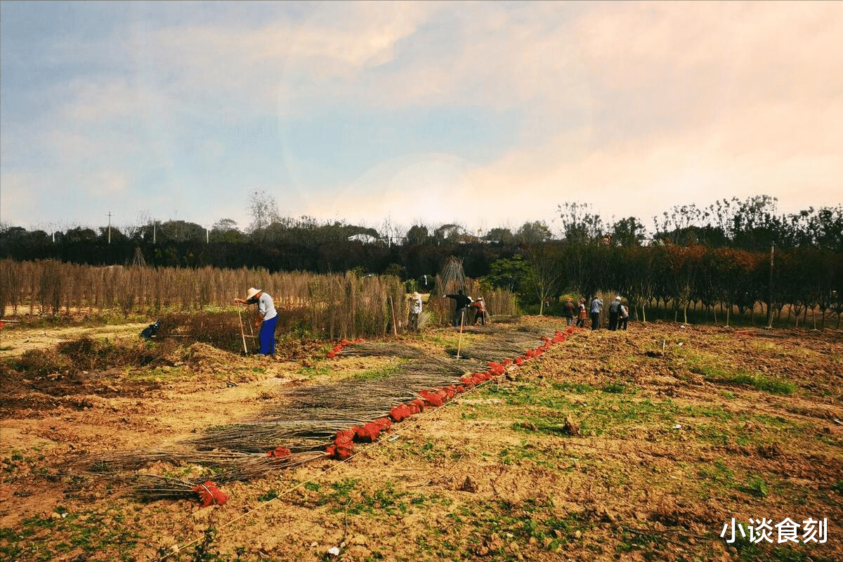 “十六三不做，春季无灾祸”，今日二月十六，哪3不做？答案来了