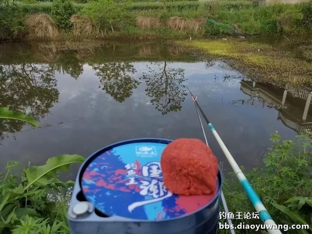 春之游钓，逸趣盎然