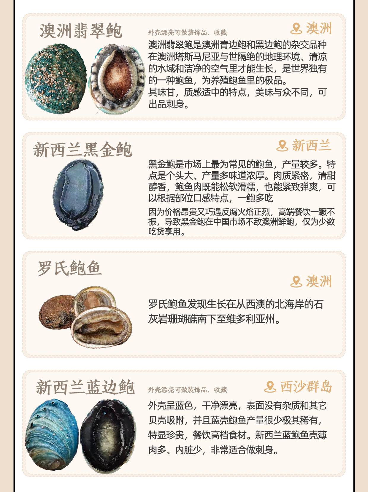 常见的鲍鱼种类大合集