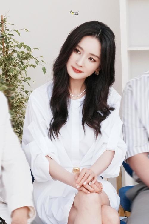 杨幂学术作品引发热议,网友质疑其成果含金量