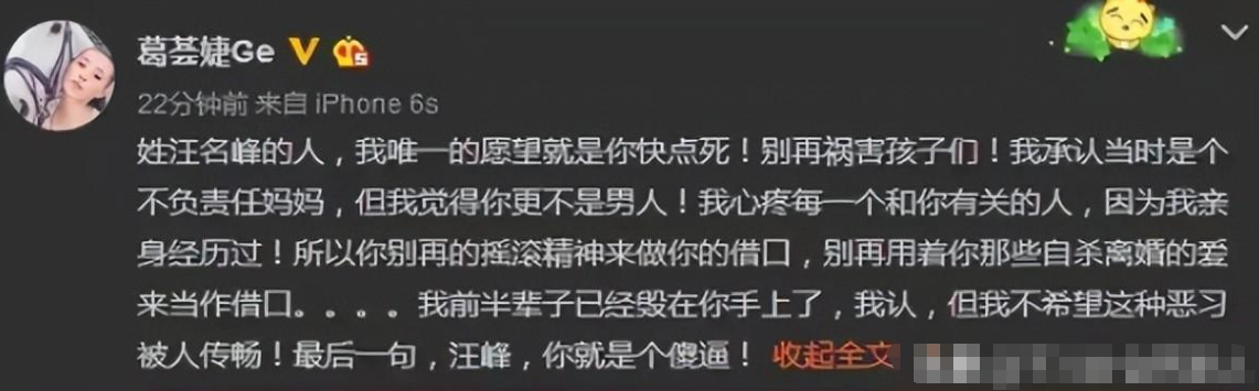 同样是汪峰基因，把章子怡女儿和葛荟婕女儿一对比，差距一目了然