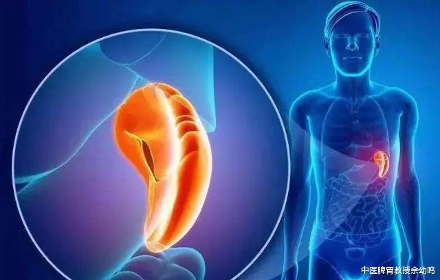 治疗脾虚其实很简单，别再被假医生误导了，对症用药，痊愈其实很简单