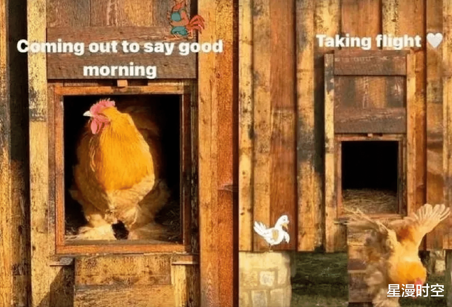 贝克汉姆一家游艇度假!13岁小七成全家团宠,穿白裙像小仙女!