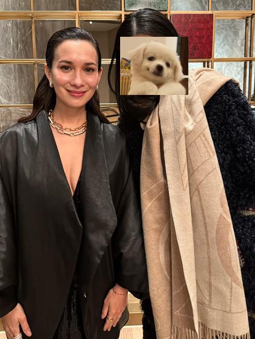 李沁“一脸苦相”算不算大美女?看看她和舒淇站在一起就有答案了