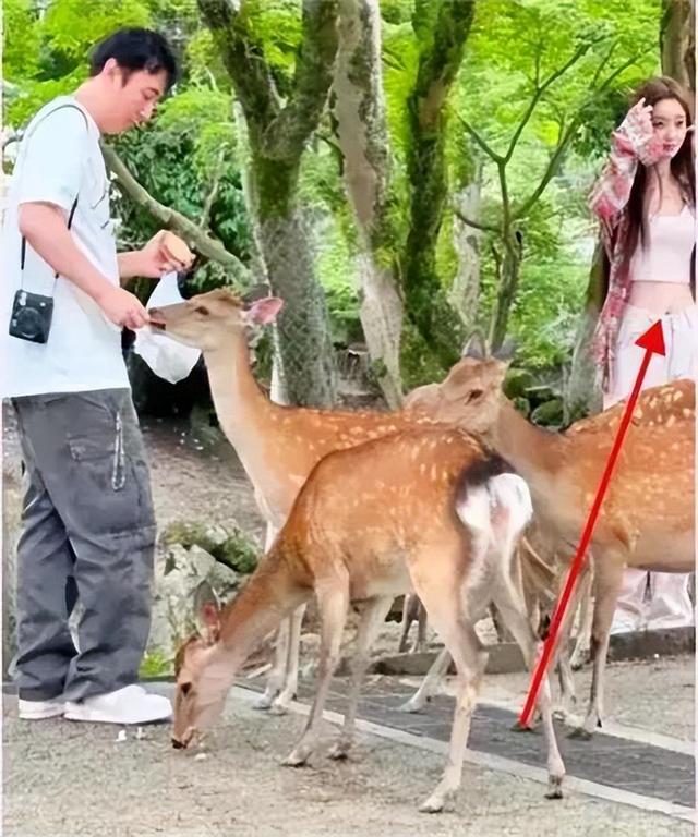 王思聪紧急抛售上海豪宅,低于市价1200万,豪宅内景全曝光引热议