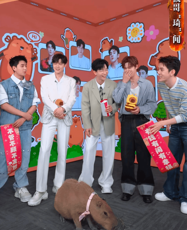 遭遇收视瓶颈，哥哥星光黯淡，《披荆斩棘》成团夜或将无人在意？