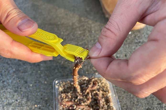 哪款“沙蚕夹”最好用？实测结果大公开！