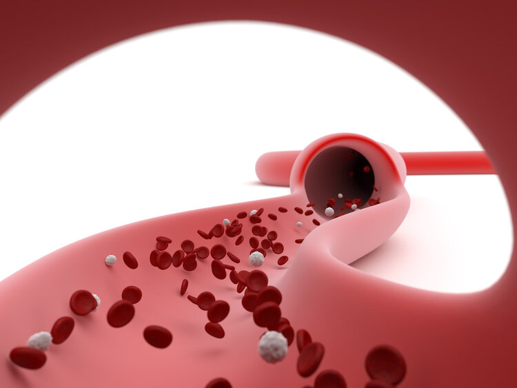 长期只吃素不吃肉的人,身体会越来越棒吗?提醒:或吃出4种疾病