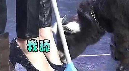 杨幂剪短发风格大变,金发色配复古,颠覆女神形象!