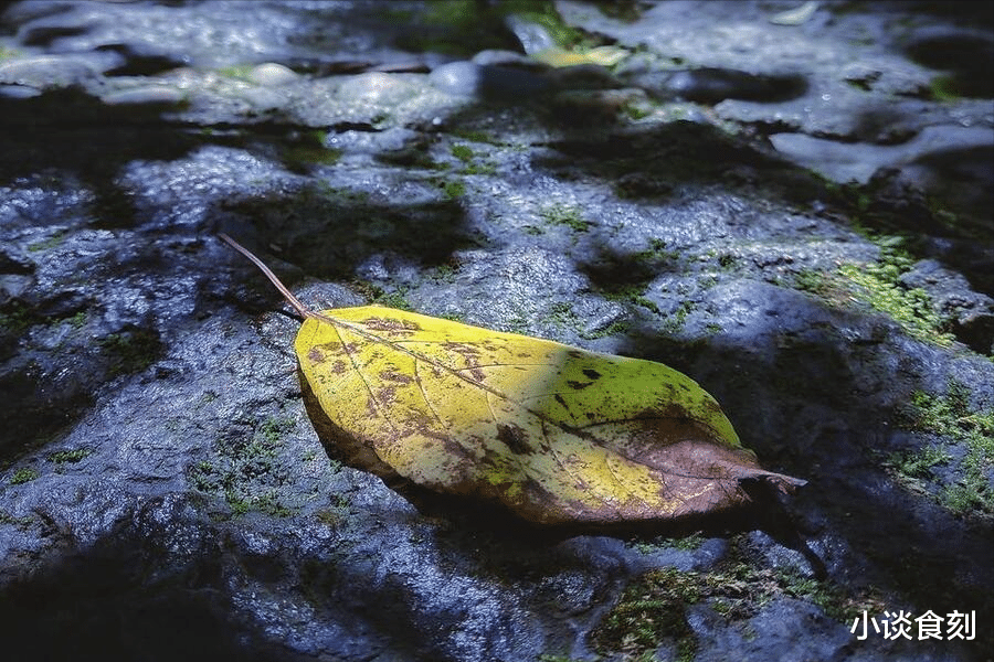 最怕七月二十五晴，明日是七月二十五，为啥怕天晴？农谚咋预兆？