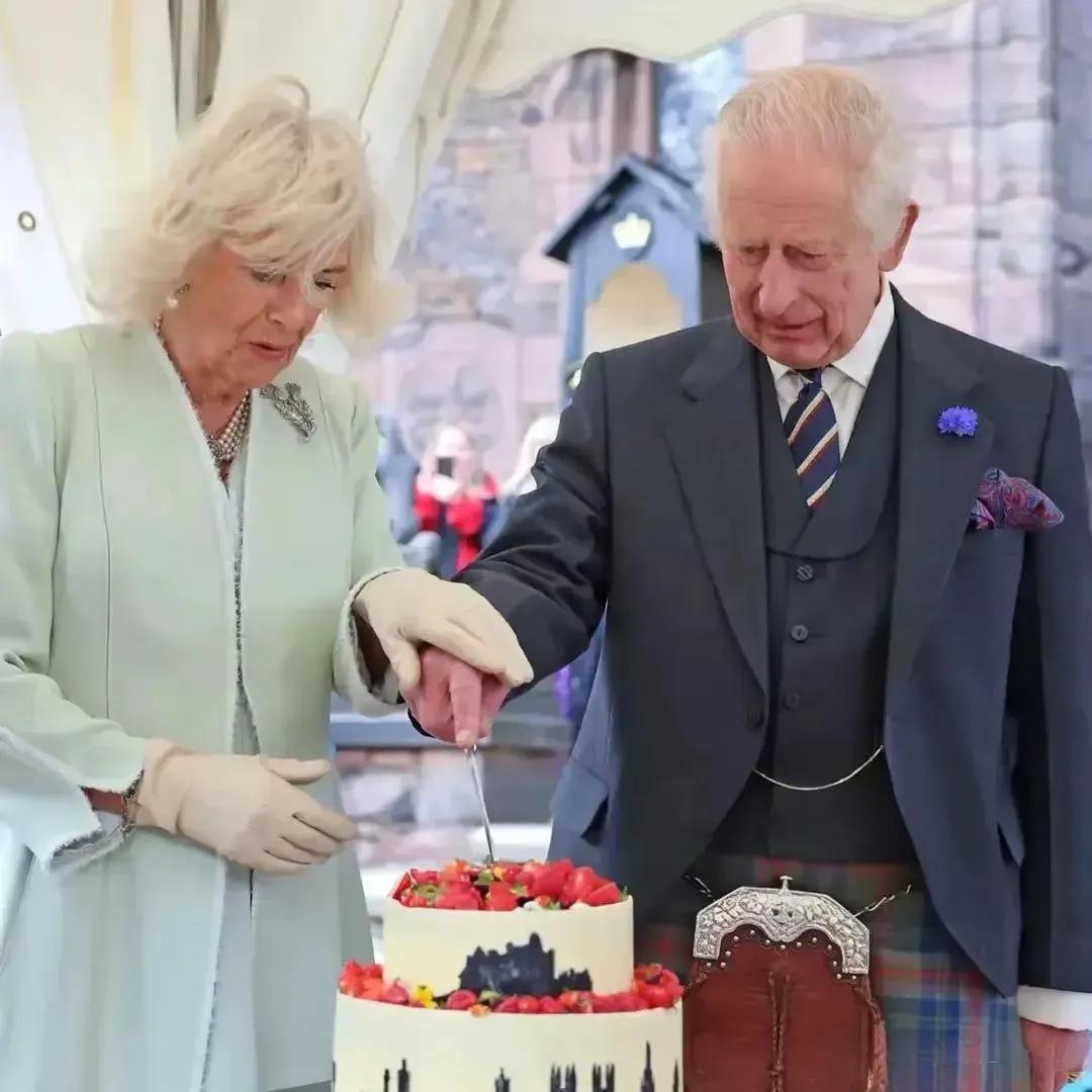 尴尬瞬间：王后形象大翻车？卡米拉凌乱发型引热议，造型师失职