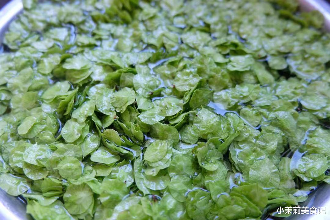 春天唯一不含草酸的野菜，一化痰，二除湿，三增免疫，随手一蒸鲜甜清香，经常失眠多吃点