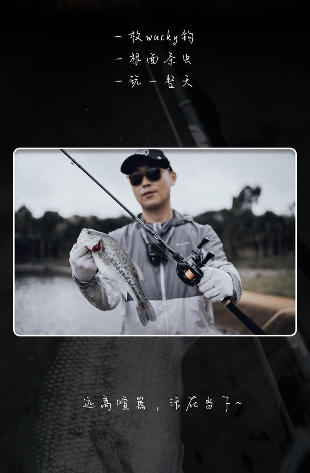 NS|随心而动 鲈此可爱 ? 米兰达鳜鱼II