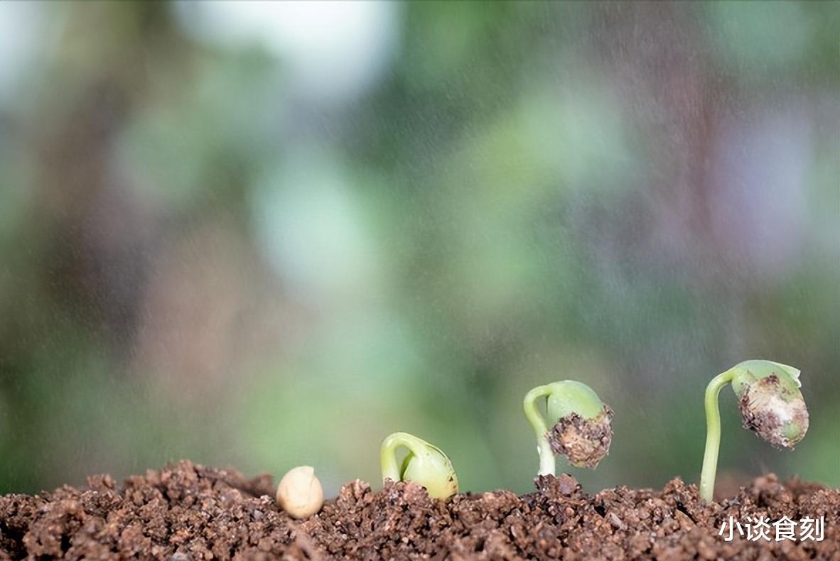 “发不发，二月看廿八”，今日二月廿八，是啥日子？有啥预兆？