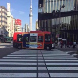 仅供考