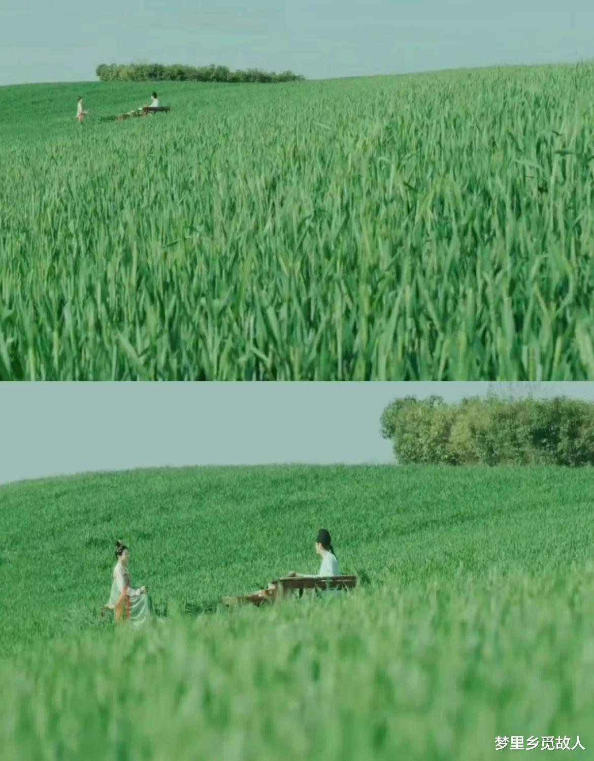 这一次，尊重观众的《国色芳华》，把内娱抠图剧的遮羞布撕碎了！