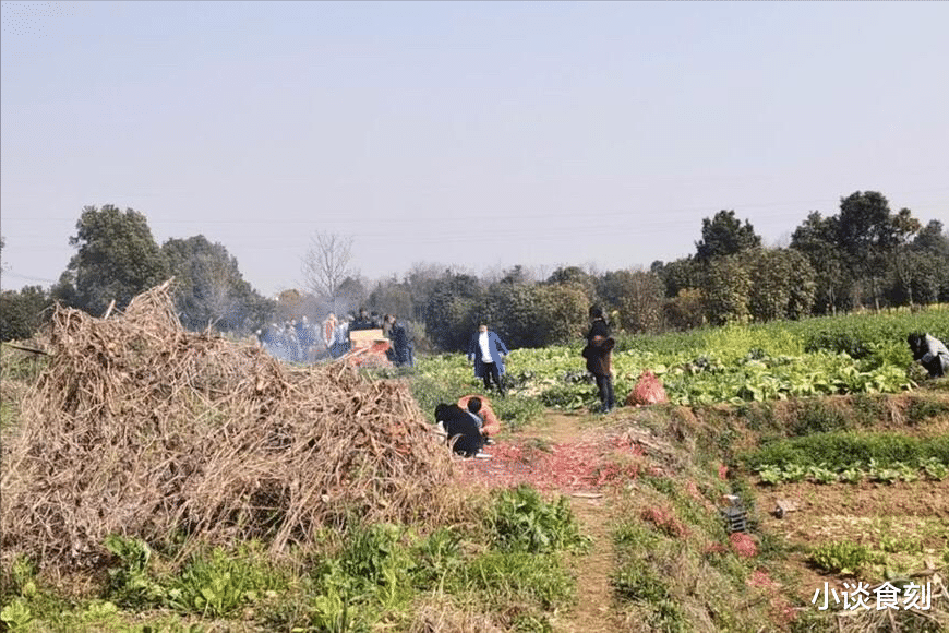 “女婿莫上坟，坟祭辱先人”啥意思？清明节女婿能去上坟吗？