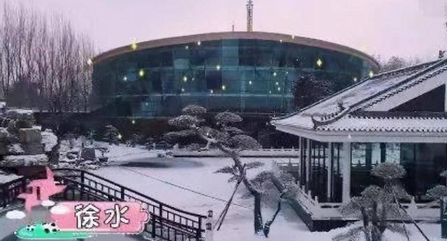 表面比肩王思聪,实际上全都是假豪门,麻烦别再装了好吗!